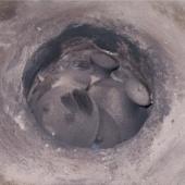 Kattintson a képre az új ablakban megnyíló eredeti felbontású fotóért.