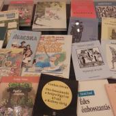 Kattintson a képre az új ablakban megnyíló eredeti felbontású fotóért.