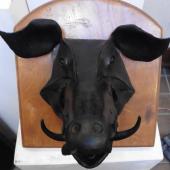 Kattintson a képre az új ablakban megnyíló eredeti felbontású fotóért.