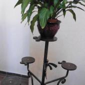 Kattintson a képre az új ablakban megnyíló eredeti felbontású fotóért.