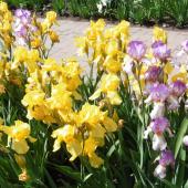 Kattintson a képre az új ablakban megnyíló eredeti felbontású fotóért.