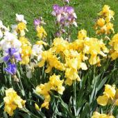 Kattintson a képre az új ablakban megnyíló eredeti felbontású fotóért.