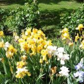 Kattintson a képre az új ablakban megnyíló eredeti felbontású fotóért.