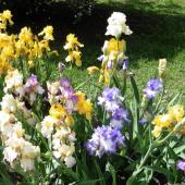 Kattintson a képre az új ablakban megnyíló eredeti felbontású fotóért.