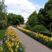 Kattintson a képre az új ablakban megnyíló eredeti felbontású fotóért.