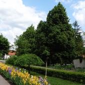 Kattintson a képre az új ablakban megnyíló eredeti felbontású fotóért.