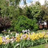 Kattintson a képre az új ablakban megnyíló eredeti felbontású fotóért.