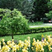 Kattintson a képre az új ablakban megnyíló eredeti felbontású fotóért.