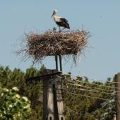 Kattintson a képre az új ablakban megnyíló eredeti felbontású fotóért.