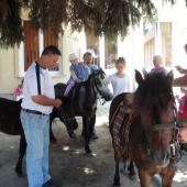 Kattintson a képre az új ablakban megnyíló eredeti felbontású fotóért.