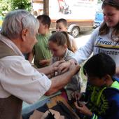 Kattintson a képre az új ablakban megnyíló eredeti felbontású fotóért.