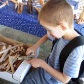 Kattintson a képre az új ablakban megnyíló eredeti felbontású fotóért.