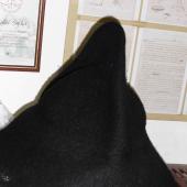 Kattintson a képre az új ablakban megnyíló eredeti felbontású fotóért.