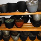 Kattintson a képre az új ablakban megnyíló eredeti felbontású fotóért.