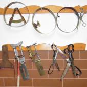 Kattintson a képre az új ablakban megnyíló eredeti felbontású fotóért.