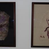 Kattintson a képre az új ablakban megnyíló eredeti felbontású fotóért.