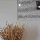 Kattintson a képre az új ablakban megnyíló eredeti felbontású fotóért.