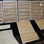 Kattintson a képre az új ablakban megnyíló eredeti felbontású fotóért.