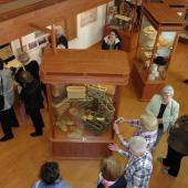 Kattintson a képre az új ablakban megnyíló eredeti felbontású fotóért.