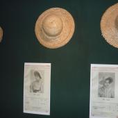 Kattintson a képre az új ablakban megnyíló eredeti felbontású fotóért.