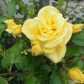 Kattintson a képre az új ablakban megnyíló eredeti felbontású fotóért.