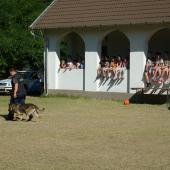 Kattintson a képre az új ablakban megnyíló eredeti felbontású fotóért.