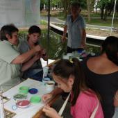 Kattintson a képre az új ablakban megnyíló eredeti felbontású fotóért.