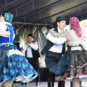 Kattintson a képre az új ablakban megnyíló eredeti felbontású fotóért.