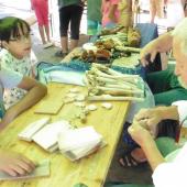 Kattintson a képre az új ablakban megnyíló eredeti felbontású fotóért.