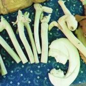 Kattintson a képre az új ablakban megnyíló eredeti felbontású fotóért.