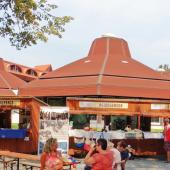 Kattintson a képre az új ablakban megnyíló eredeti felbontású fotóért.