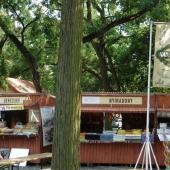 Kattintson a képre az új ablakban megnyíló eredeti felbontású fotóért.