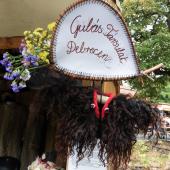 Kattintson a képre az új ablakban megnyíló eredeti felbontású fotóért.