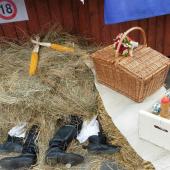 Kattintson a képre az új ablakban megnyíló eredeti felbontású fotóért.