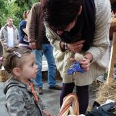 Kattintson a képre az új ablakban megnyíló eredeti felbontású fotóért.