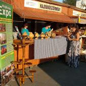 Kattintson a képre az új ablakban megnyíló eredeti felbontású fotóért.