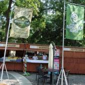 Kattintson a képre az új ablakban megnyíló eredeti felbontású fotóért.