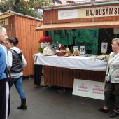 Kattintson a képre az új ablakban megnyíló eredeti felbontású fotóért.