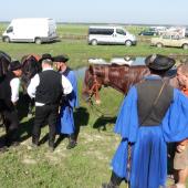 Kattintson a képre az új ablakban megnyíló eredeti felbontású fotóért.