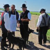 Kattintson a képre az új ablakban megnyíló eredeti felbontású fotóért.