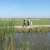 Kattintson a képre az új ablakban megnyíló eredeti felbontású fotóért.