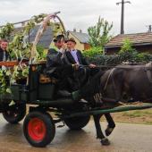 Kattintson a képre az új ablakban megnyíló eredeti felbontású fotóért.