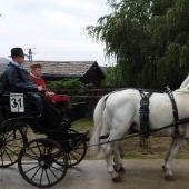 Kattintson a képre az új ablakban megnyíló eredeti felbontású fotóért.