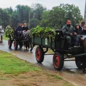 Kattintson a képre az új ablakban megnyíló eredeti felbontású fotóért.