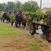 Kattintson a képre az új ablakban megnyíló eredeti felbontású fotóért.