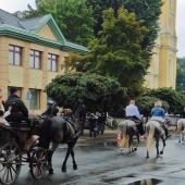 Kattintson a képre az új ablakban megnyíló eredeti felbontású fotóért.
