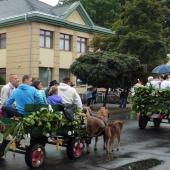 Kattintson a képre az új ablakban megnyíló eredeti felbontású fotóért.