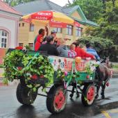 Kattintson a képre az új ablakban megnyíló eredeti felbontású fotóért.