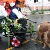 Kattintson a képre az új ablakban megnyíló eredeti felbontású fotóért.