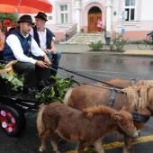 Kattintson a képre az új ablakban megnyíló eredeti felbontású fotóért.